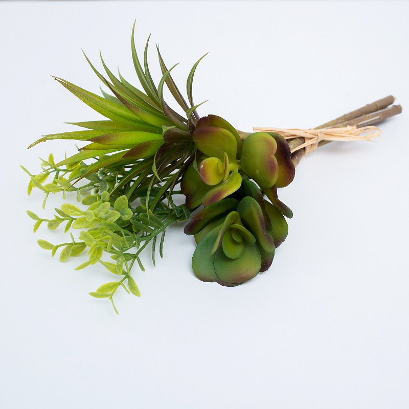 enkele tak kunstmatige succulent