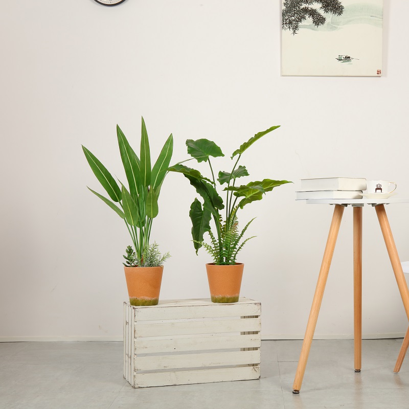 Moderne stijl hoge kwaliteit kunstmatige plant in pot te koop