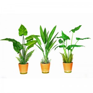Hot Sale Factory Direct Supply Green Indoor Outdoor Thuis versieren ingemaakte groene plant