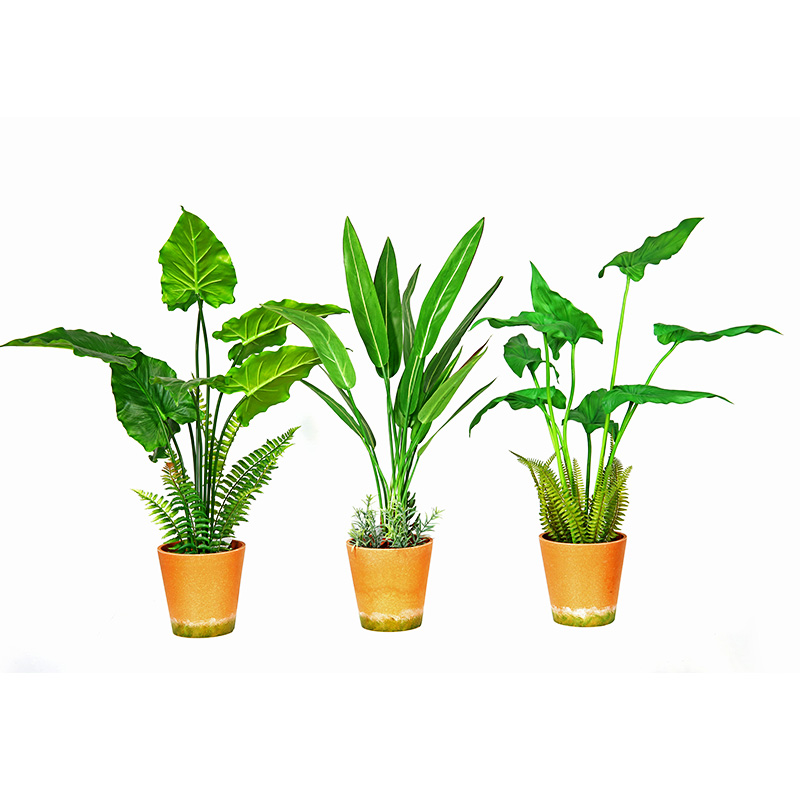 Hot Sale Factory Direct Supply Green Indoor Outdoor Thuis versieren ingemaakte groene plant